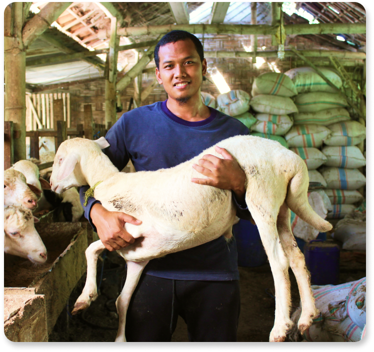 Aringga Bayu P